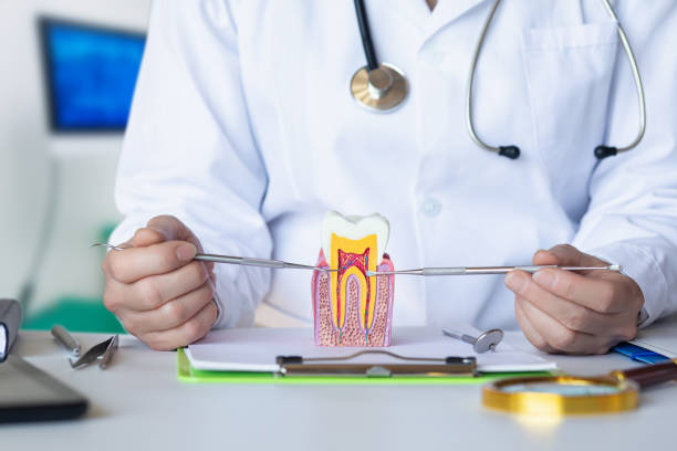 Best Walk-In Emergency Dentist in Kean University, NJ